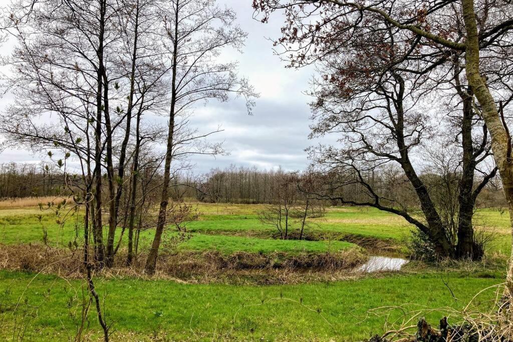 Oranjerie, 7 Km Onder Groningen Daire Paterswolde Dış mekan fotoğraf